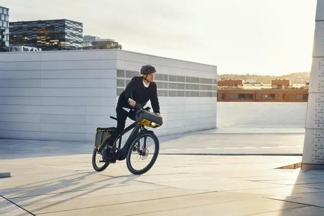 The Top Benefits of an Electric Bike