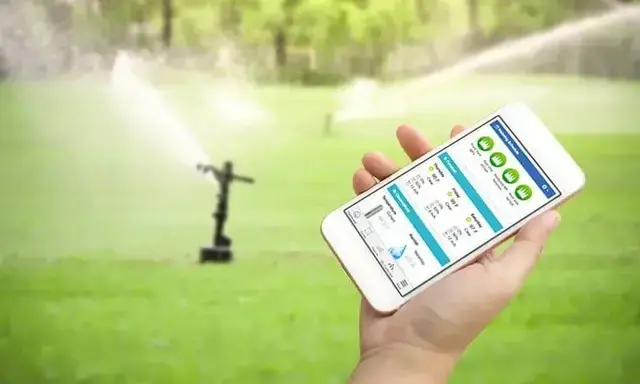 Efficient Watering Solutions: Exploring Sprinkler Design Software